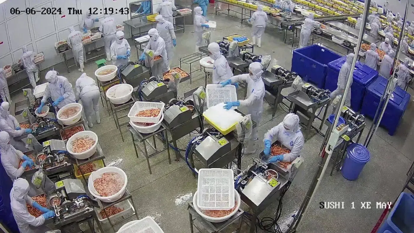 Khu đóng gói thủy sản giám sát bằng camera Hikvision AcuSense giảm báo động giả