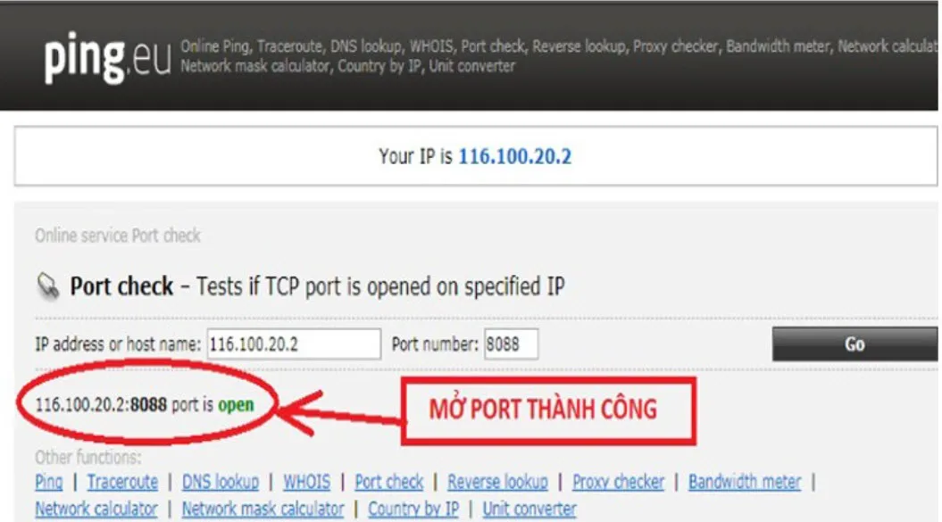 Kiểm tra mở port thành công bằng công cụ trực tuyến ping.eu