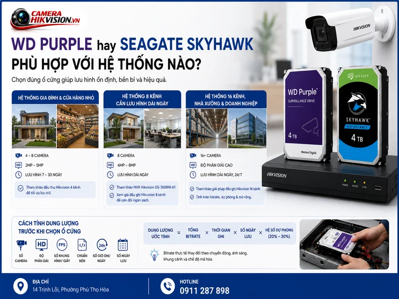 WD Purple hay Seagate SkyHawk phù hợp với hệ thống nào?