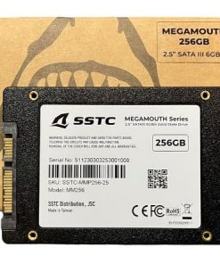 SSD SSTC M100 256G SATA III - ảnh sản phẩm 2