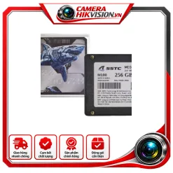 SSD SSTC M100 256G SATA III