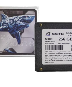 SSD SSTC M100 256G SATA III