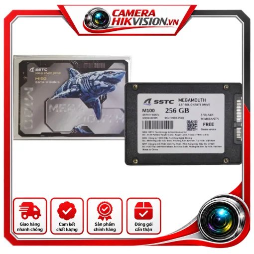 SSD SSTC M100 256G SATA III