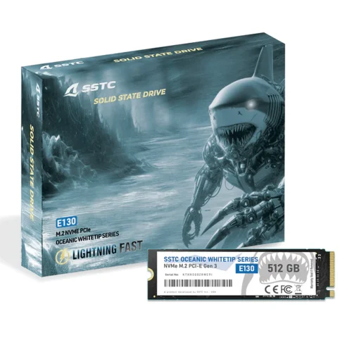 SSD SSTC E130 512G