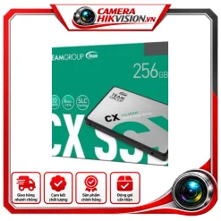 SSD TeamGroup CX2 256G SATA III