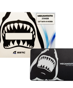SSD SSTC M100 256G SATA III - ảnh sản phẩm 3